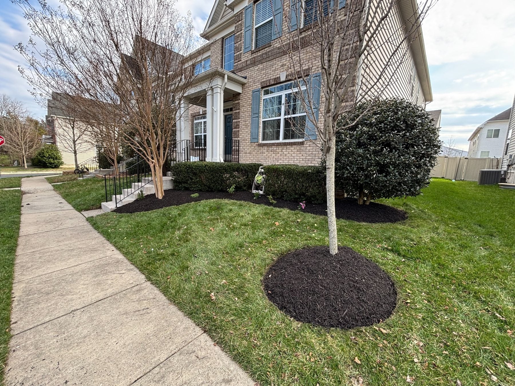 Residential landscape after bed cleanup and fresh black mulch