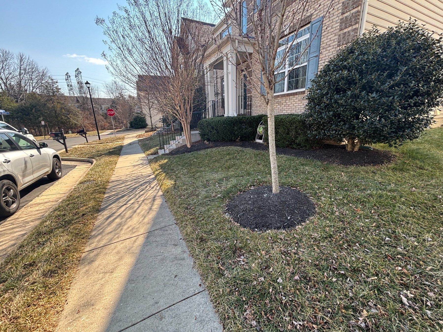Residential landscape before bed cleanup and mulching