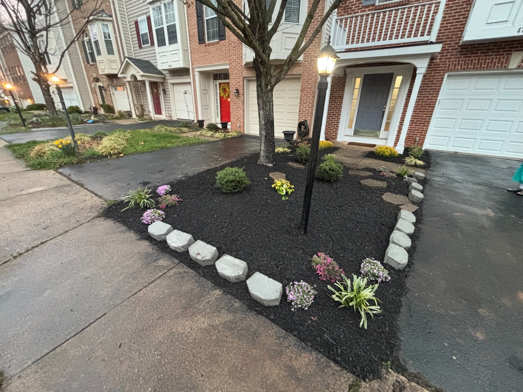 Front yard after landscape cleanup, edging, mulch, and planting