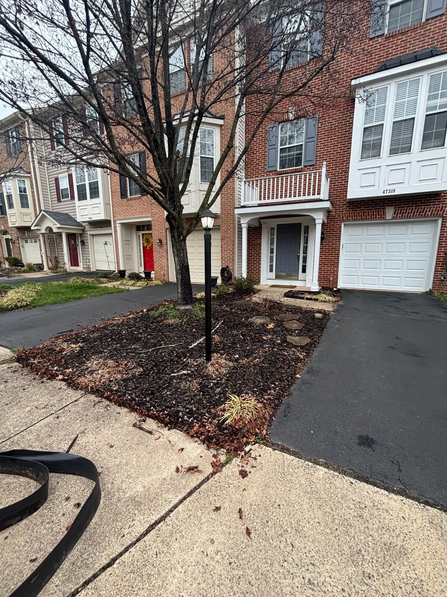 Front yard before landscape cleanup
